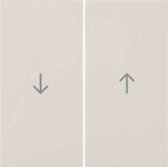 16258982